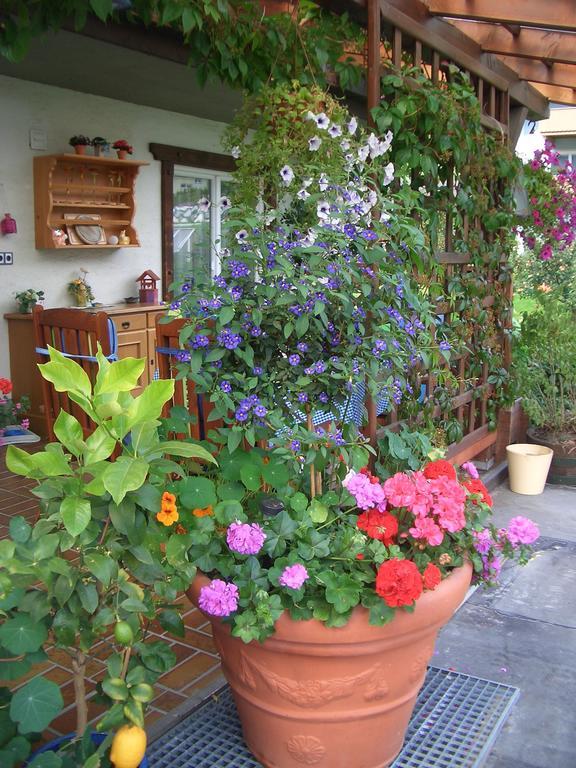 Ferienwohnung Haus Grützner Dorfgastein Exterior foto